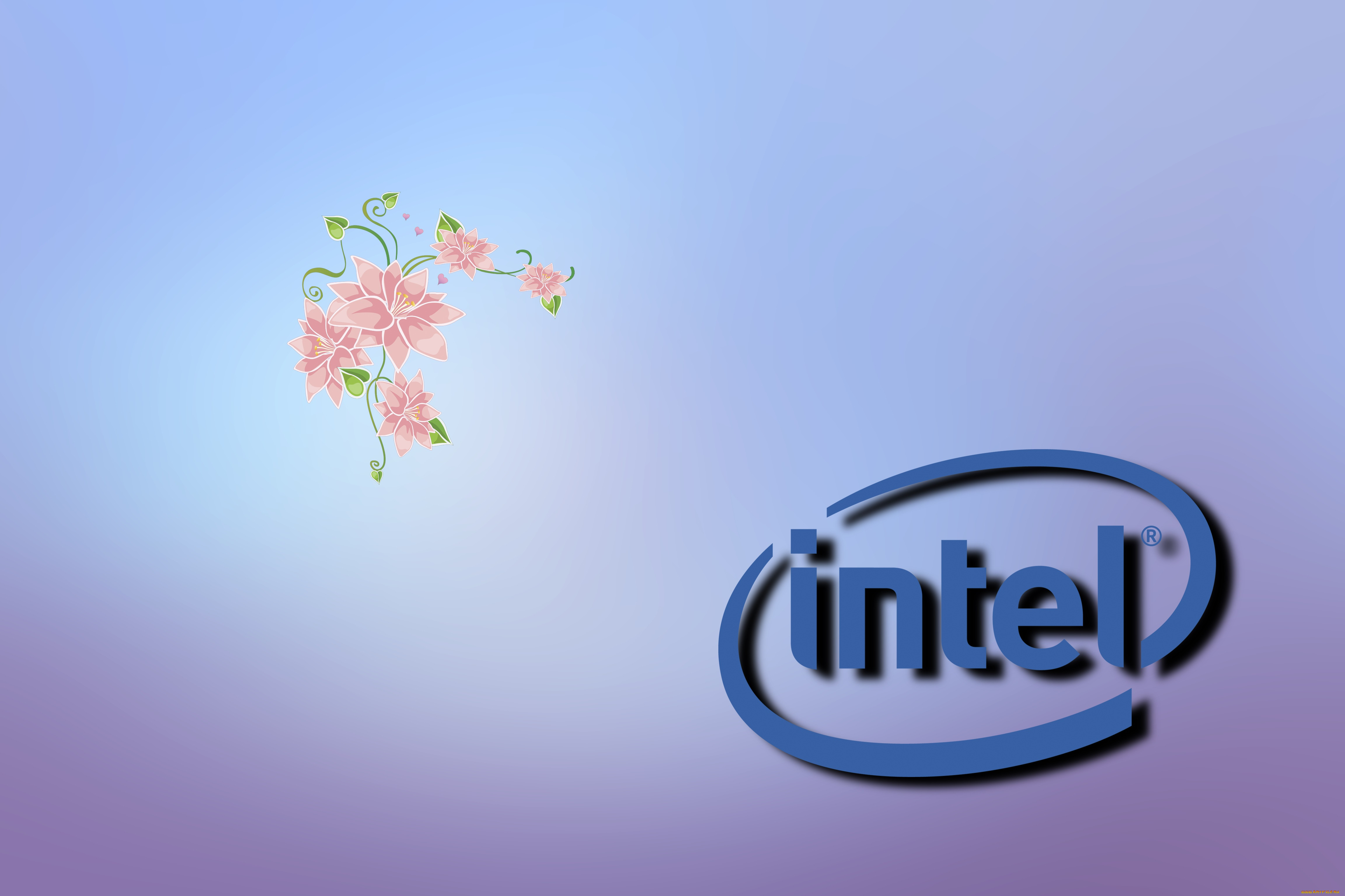, intel, , 